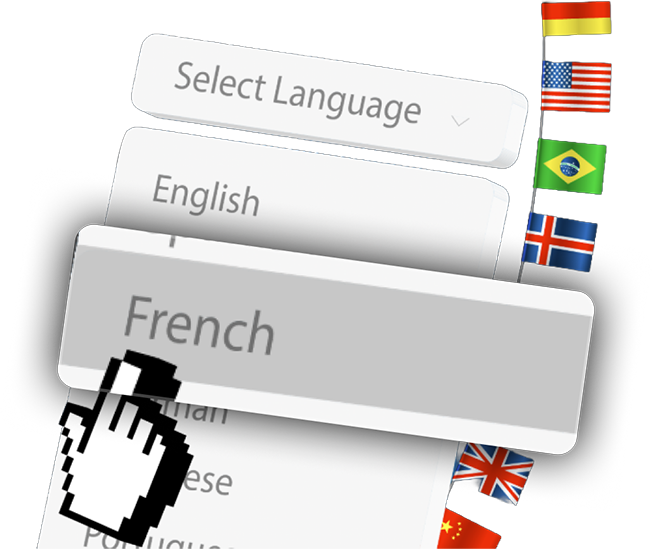 Language Selection